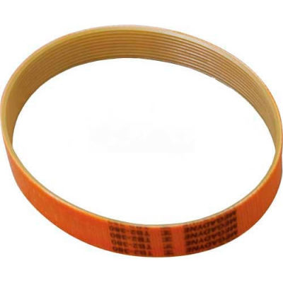 Belt - Ribbed For Berkel, BER400829-00066