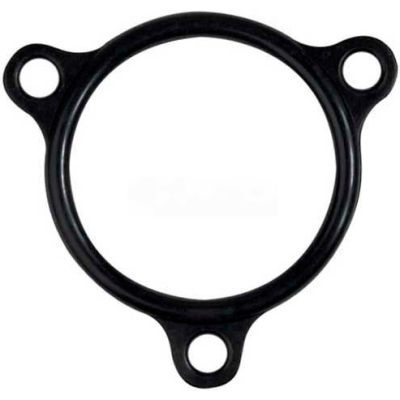Heater Flange Seal For Champion, CHA109985