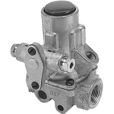 Safety Valve 3/8" For Montague, MTG1025-1