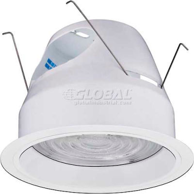 Lithonia F6L4 6" Reflector w/ White Splay Fresnel Lens DTT