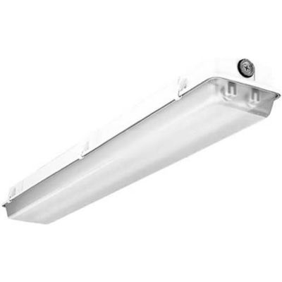 Lithonia TDMW 2 32 MVOLT 1/4 GEB10IS Enclosed And Gasketed Industrial 2 Lamp 32w No Lamp Included