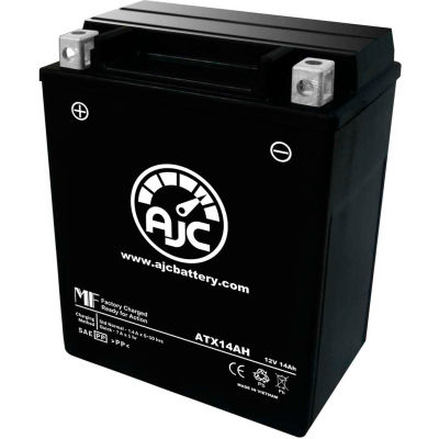 AJC Battery Polaris Indy Trail RMK 544CC Snowmobile Battery (1999), 14 Amps, 12V, B Terminals