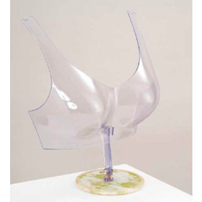 Free Standing Bra Form - Clear Plastic - Pkg Qty 5