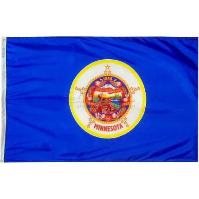 4X6 Ft. 100% Nylon Minnesota State Flag