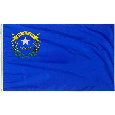 4X6 Ft. 100% Nylon Nevada State Flag