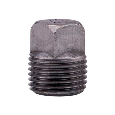 Anvil 2 In. Black Malleable Iron Cored Sq Head Plug