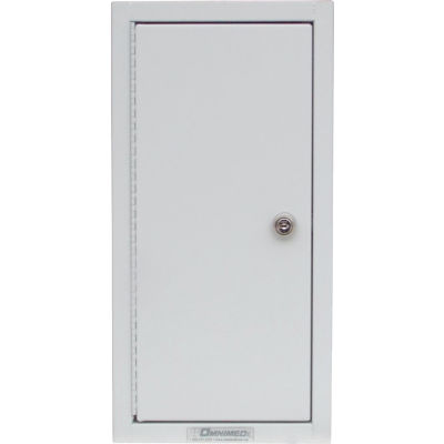 Omnimed® 182180 Segmented Narcotics Cabinet I-IV - 4 Compartments, 17-3/4"H x 9"W x 4-1/2"D
