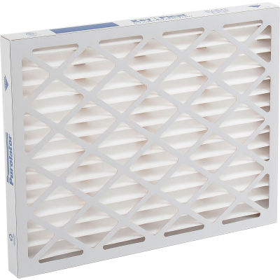 Purolator® 5251104791 Self Supported Pleated Filter 20"W x 25"H x 2"D - Pkg Qty 12
