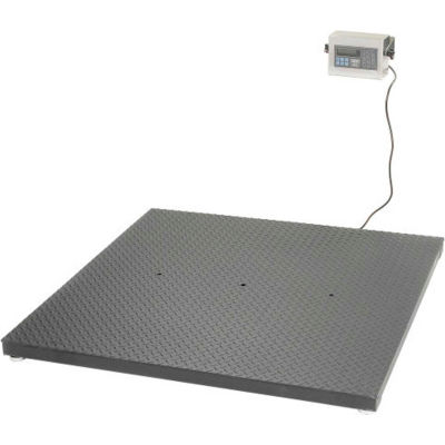 Pennsylvania 76/6600 Series NTEP Floor/Pallet Digital Scale 60" x 60" 10,000lb x 2lb