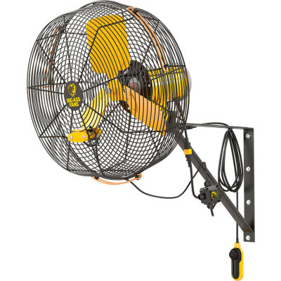 Big Ass Fans AirEye Directional Fan with Wall Mount, 20