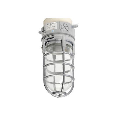Lithonia VC150I M12 150 W Incandescent Ceiling Mount Vapor Light