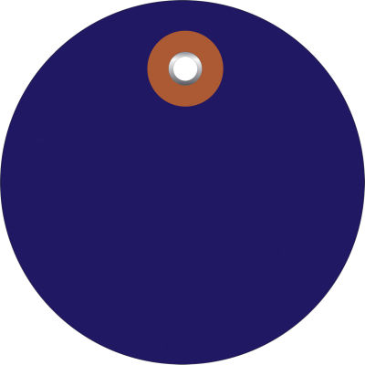 Plastic Circle Tags 3" Diameter Blue - 100 Pack