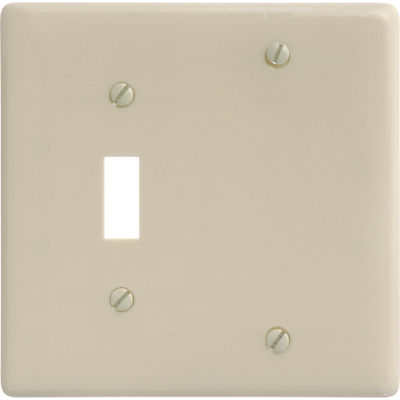 Bryant NP113I Toggle Blank Combo Plate, 2-Gang, Standard, Ivory Nylon