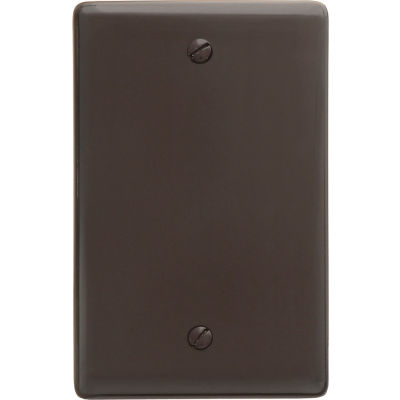 Bryant NP13 Box Mounted Blank Plate, 1-Gang, Standard, Brown Nylon