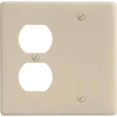 Bryant NP138I Blank Duplex Combo Plate, 2-Gang, Standard, Ivory Nylon