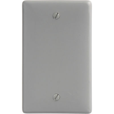 Bryant NP13GY Box Mounted Blank Plate, 1-Gang, Standard, Gray Nylon
