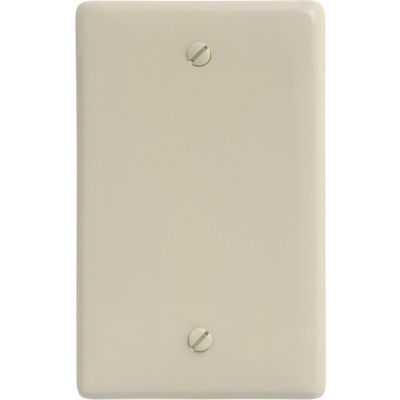 Bryant NP13I Box Mounted Blank Plate, 1-Gang, Standard, Ivory Nylon