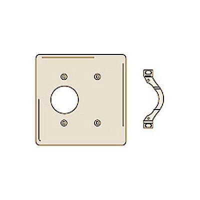 Bryant NP147I Single Blank Combo Plate, 2-Gang, Standard, Ivory Nylon