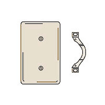 Bryant NP14I Strap Mounted Blank Plate, 1-Gang, Standard, Ivory Nylon