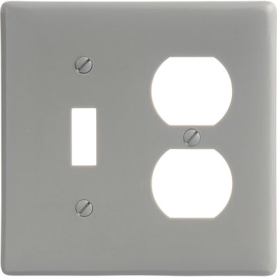 Bryant NP18GY Toggle Duplex Combo Plate, 2-Gang, Standard, Gray Nylon