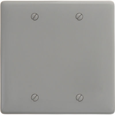Bryant NP23GY Box Mounted Blank Plate, 2-Gang, Standard, Gray Nylon