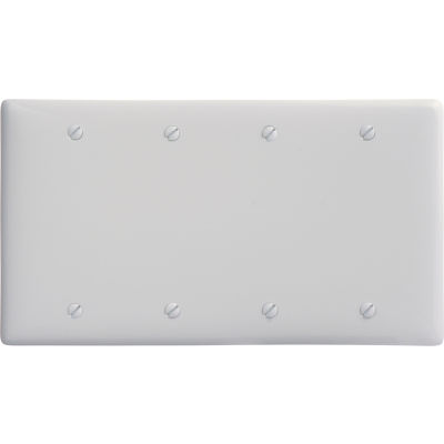 Bryant NP43W Box Mounted Blank Plate, 3-Gang, Std, White Nylon