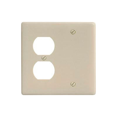 Bryant NPJ138I Blank Duplex Combo Plate, 2-Gang, Mid-Size, Ivory Nylon