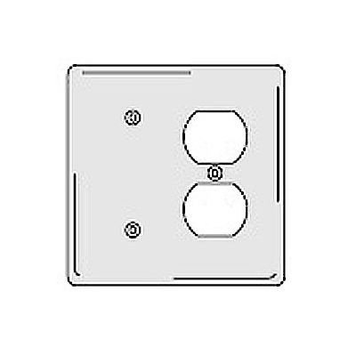 Bryant NPJ138W Blank Duplex Combo Plate, 2-Gang, Mid-Size, White Nylon