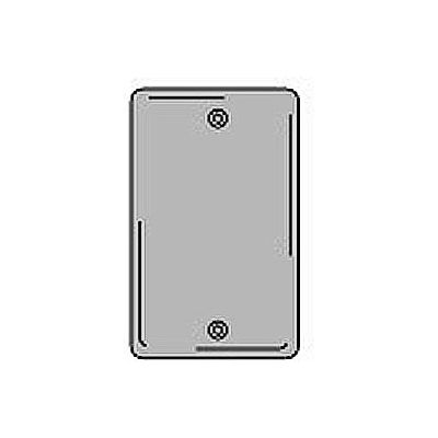 Bryant NPJ13GY Box Mounted Blank Plate, 1-Gang, Mid-Size, Gray Nylon