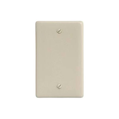 Bryant NPJ13I Box Mounted Blank Plate, 1-Gang, Mid-Size, Ivory Nylon