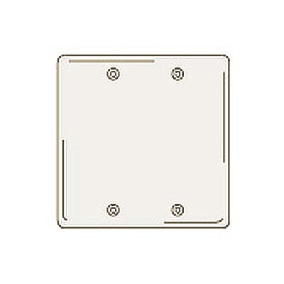 Bryant NPJ23LA Box Mounted Blank Plate, 2-Gang, Mid-Size, Light Almond Nylon