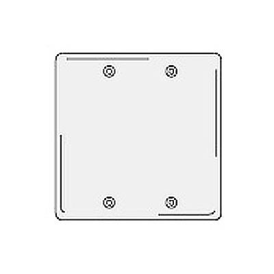 Bryant NPJ23W Box Mounted Blank Plate, 2-Gang, Mid-Size, White Nylon