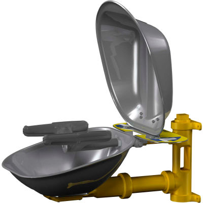 Bradley® Eye-Face Wash, SS Bowl & Dust Cover - S19224DCFW