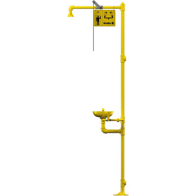 Bradley® Combination Drench Shower Eyewash Unit - S19-310