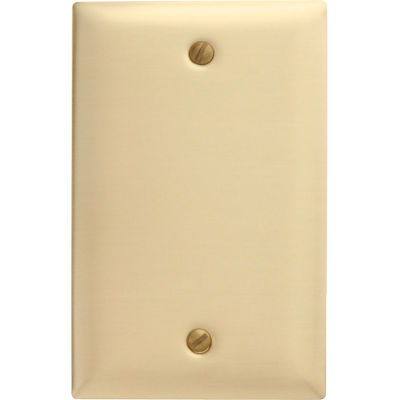 Bryant SB13 Box Mounted Blank Plate, 1-Gang, Standard, Brass