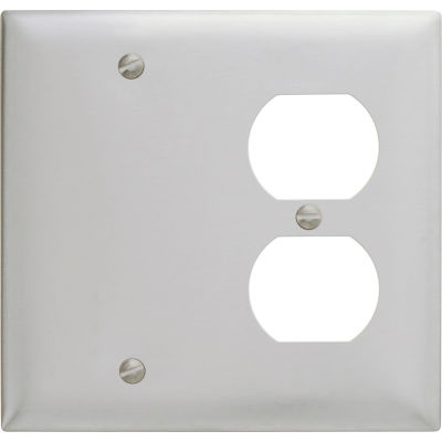 Bryant SS138 Blank Duplex Combo Plate, 2-Gang, Standard, Satin Stainless