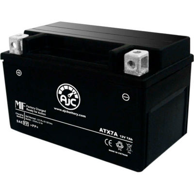 AJC Battery Champion 7A-BS Battery, 7 Amps, 12V, B Terminals | B2344681 ...