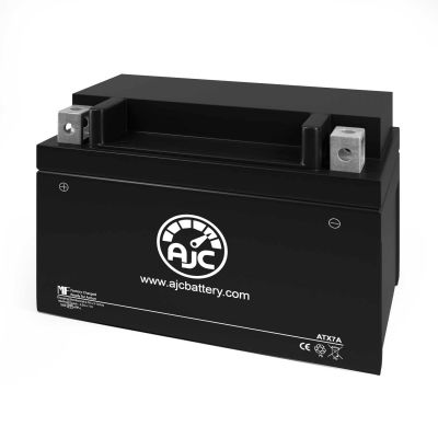 AJC® E-Ton Sport 150 150CC Scooter and Moped Replacement Battery