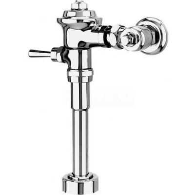Delany F452 Exposed Flushboy Flush Valve For Urinal W/11-1/2" Rough In, 3.5 GPF