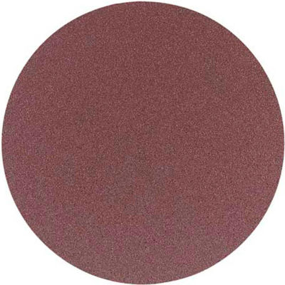Delta 31-422 12 In. 80 Grit 2 Pc. PSA Aluminum Oxide Sanding Discs