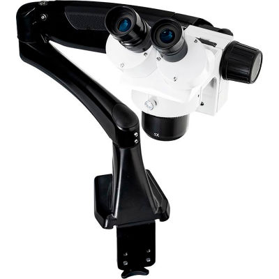 LW Scientific DMM-S12N-PA77 DM-Dual Mag Stereomicroscope W/Pneuflex-Arm, 10x - 20x