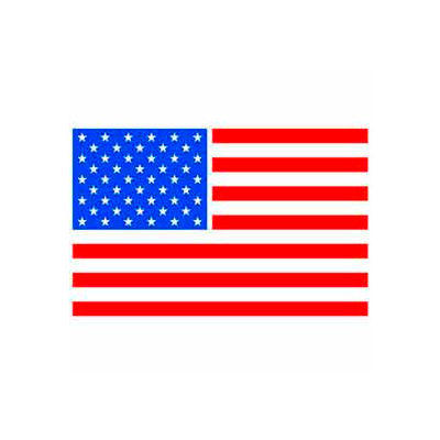 Flag 2" x 3" - White / Red / Blue