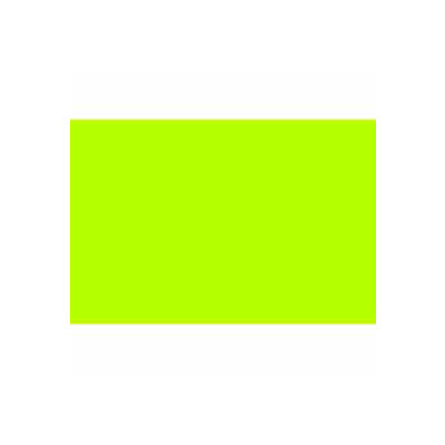 Fluorescent Green 2" x 3"