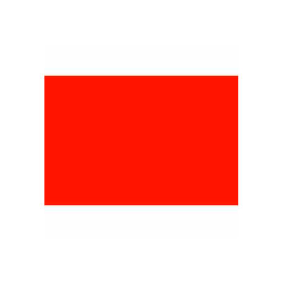 2" x 3" Fluorescent Red Rectangle