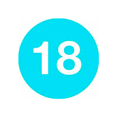 4" Dia. Blue Disc With # 18