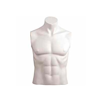 Male Bust w/out Head - Size 40 - White