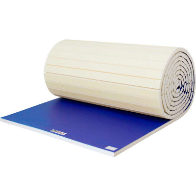 EZ Flex Sport Mats Wrestling Mat 2" Thick 42' x 42' Complete System Royal