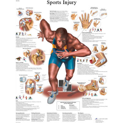 3B® Anatomical Chart - Sports Injuries, Laminated