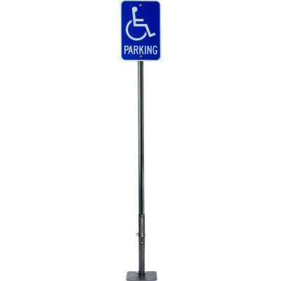 Rigid FlexPost Black Post, 6'H, Adhesive, RGD-D-6BP