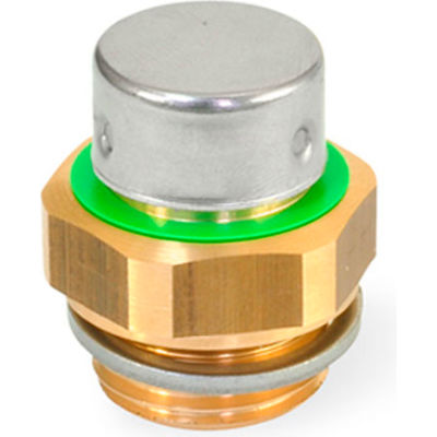 Brass Breather Valve with G 1" Pipe Thread - J.W. Winco 881-G1-200-MS-M